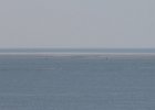 IMG 3530