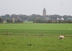 IMG 3531