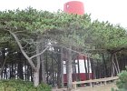 IMG 3535