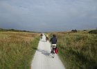 IMG 3541