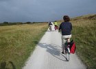 IMG 3542