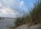 IMG 3544