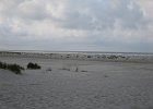 IMG 3547