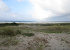 IMG 3551
