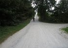 IMG 3561