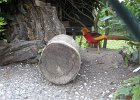 IMG 3563