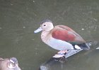 IMG 3564