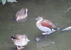 IMG 3565