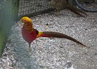 IMG 3568