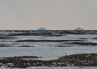 DSC 0078