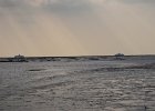 DSC 0081