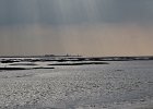 DSC 0082