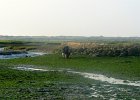 DSC 0191