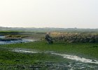 DSC 0192