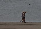 DSC 0309