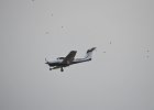 DSC 0325