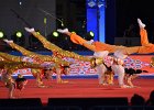 DSC 0229