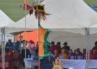 DSC 0337
