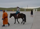 DSC 0341