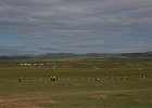 DSC 0349