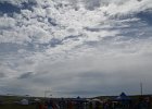 DSC 0356