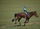 DSC 0420