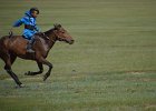 DSC 0435