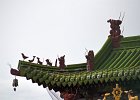 DSC 0495