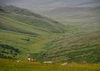 DSC 0734