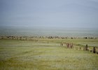 DSC 0897