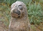 DSC 0901