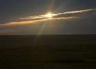 DSC 1013
