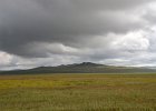 DSC 2121