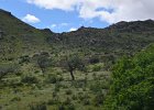 DSC 1023