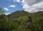 DSC 1030