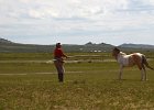 DSC 0393