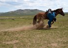 DSC 0420