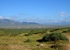 DSC 0495