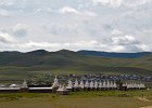DSC 0953