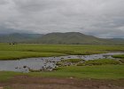 DSC 0202