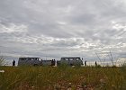 DSC 0274