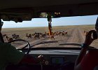 DSC 0182