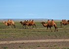 DSC 0198