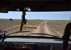 DSC 0219
