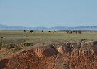 DSC 0420