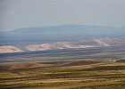 DSC 0500