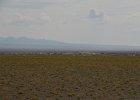 DSC 0675