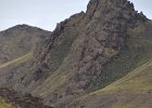 DSC 0867