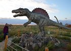 DSC 1049