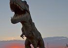 DSC 1059